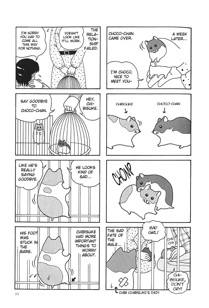 Hamster no Kenkyuu Report Chapter 4 2